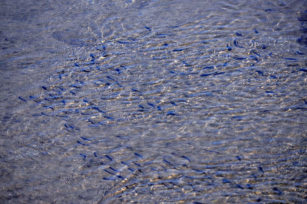 Moinhos Das Mares Фузета Екстер'єр фото